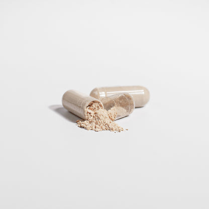 Cordyceps Mushroom Capsules  | Superfood Supplement