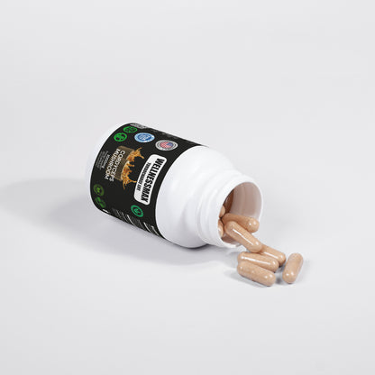 Cordyceps Mushroom Capsules  | Superfood Supplement