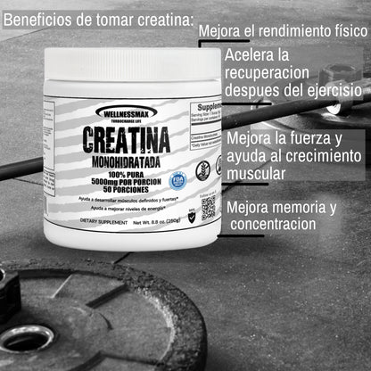 Creatina Monohidratada 100% Pura | Aumenta el tamaño muscular.